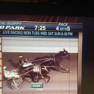 Meet your Posher, Cheryl